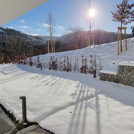 Upland Lounge Lägenhet Willingen  Exteriör bild