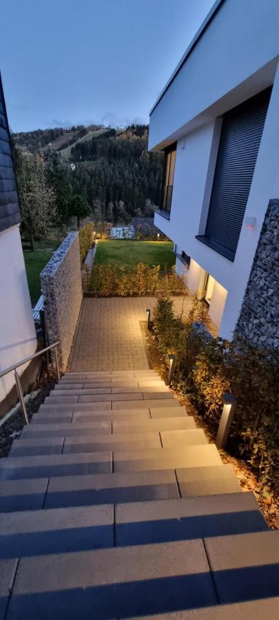 Upland Lounge Lägenhet Willingen  Exteriör bild