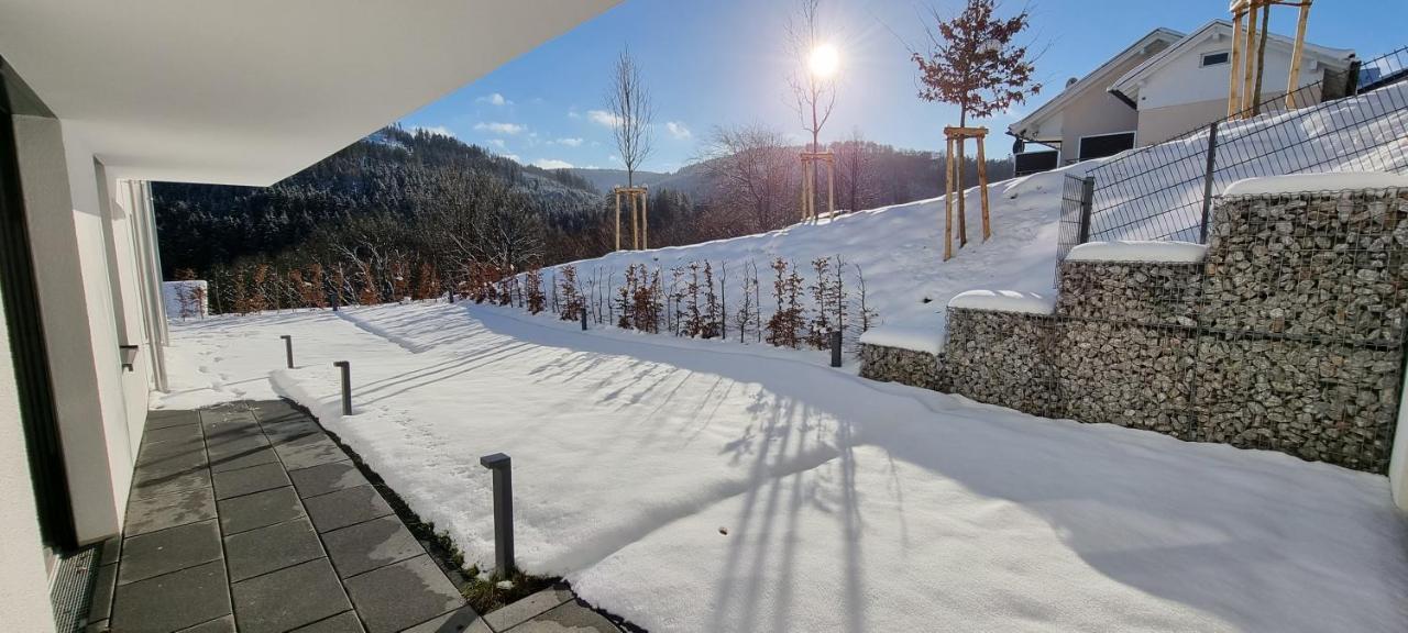 Upland Lounge Lägenhet Willingen  Exteriör bild